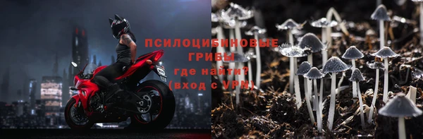 2c-b Пересвет
