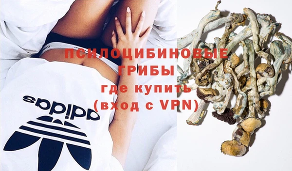 2c-b Пересвет
