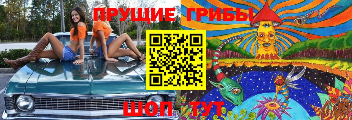 Псилоцибиновые грибы Magic Shrooms  Галлюциногенные грибы мицелий  Красноярск 