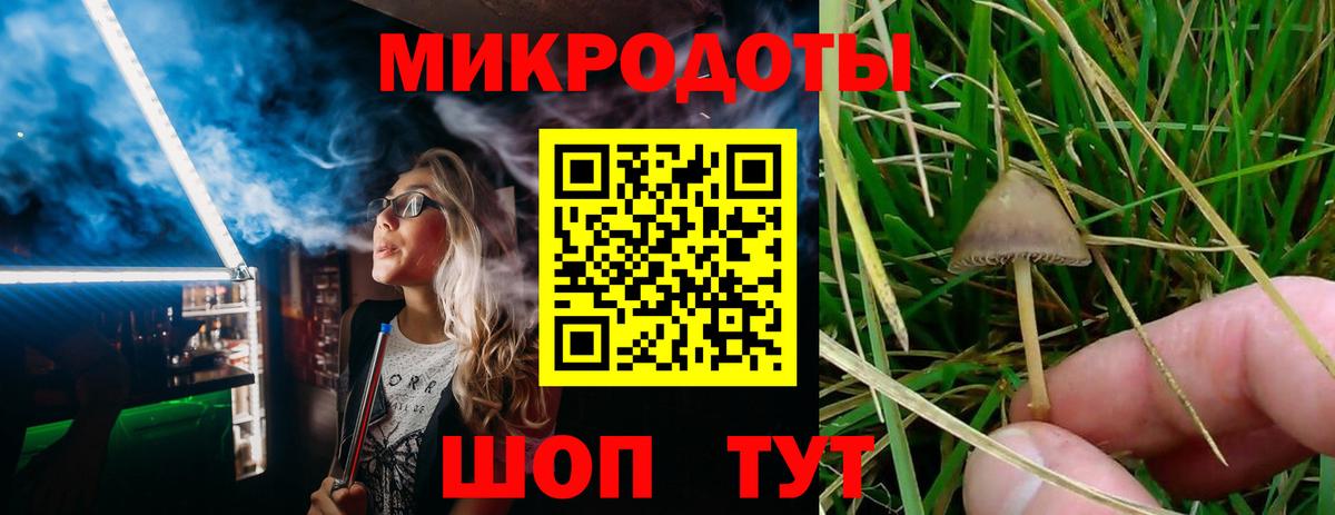 Галлюциногенные грибы ЛСД Красноярск