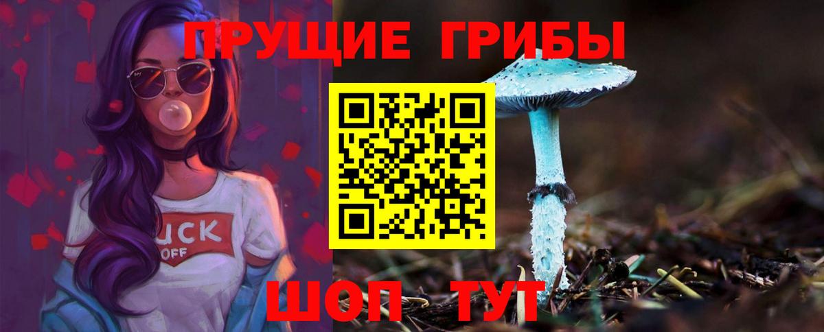 Красноярск  Псилоцибиновые грибы мицелий  Вход с VPN 