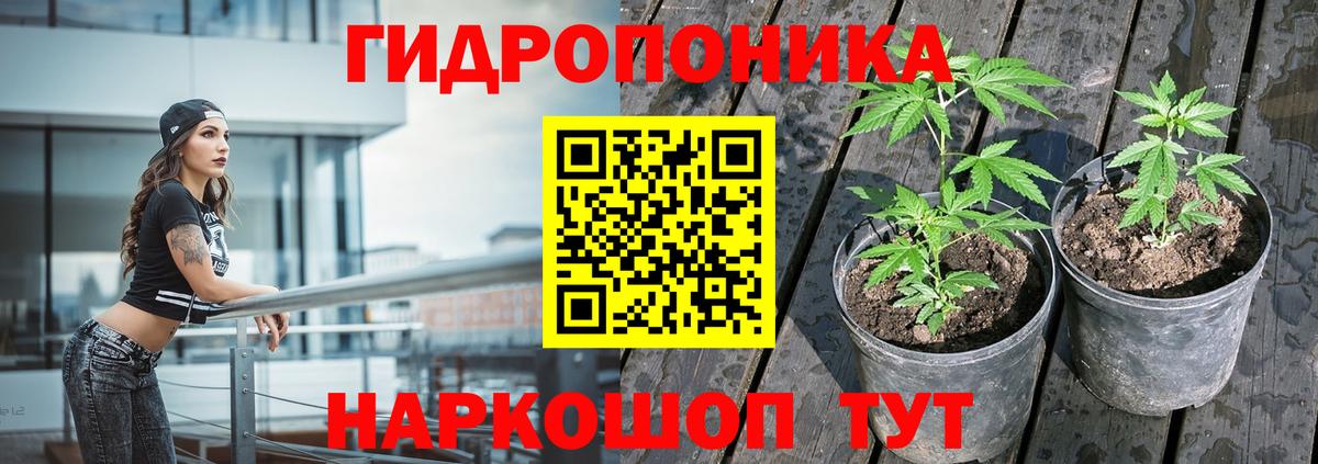 Бошки марихуана сатива  Бошки Шишки гибрид  Конопля сатива  Каннабис THC 21%  Вход с VPN  Красноярск 